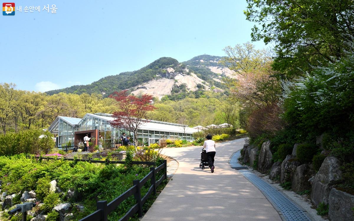 서울-불암산-철쭉제