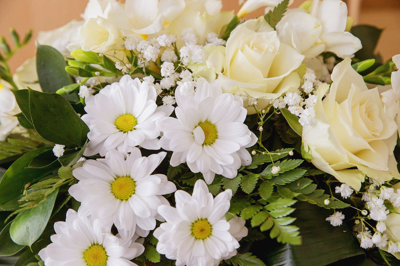 연인을 위한 키스데이 선물 추천 BEST 7