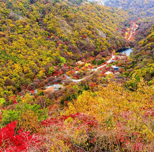 단풍여행 단풍트레킹 당일버스 여행