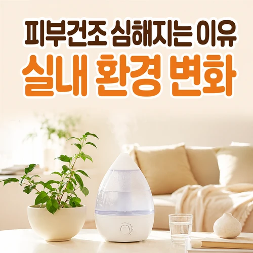 피부건조 심해지는 이유 실내 환경 변화
