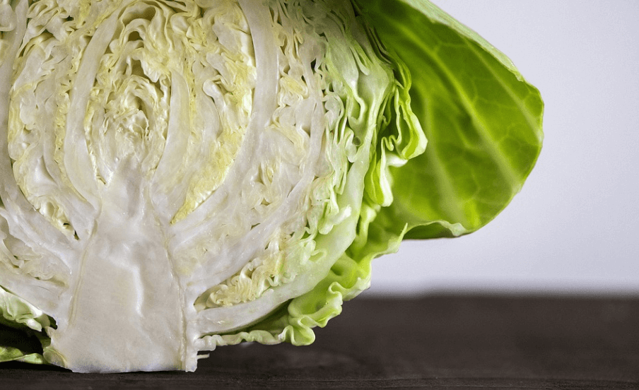 위가 안 좋을 때 나타나는 증상에 도움 되는 음식 양배추