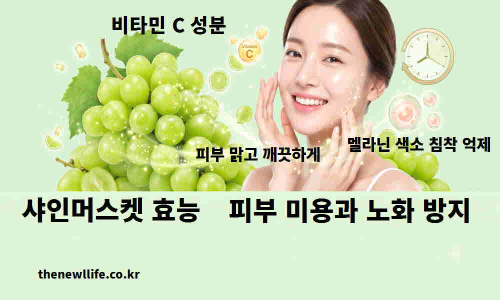 샤인머스켓 효능 피부 미용 노화 방지