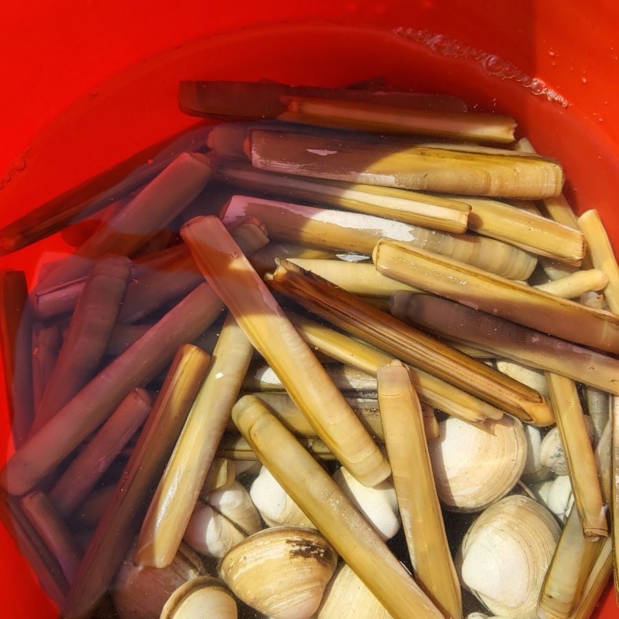 월하성 어촌체험마을