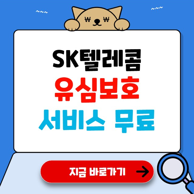 SK텔레콤 유심보호 서비스