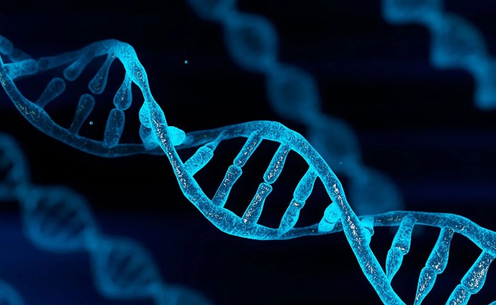 ADHD 원인 : 유전적 요인