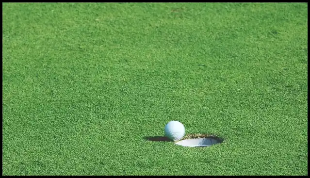 파크골프채 가격 추천 (혼마, 피닉스, 미즈노)