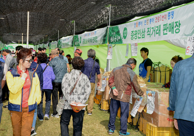 증평 인삼골 축제