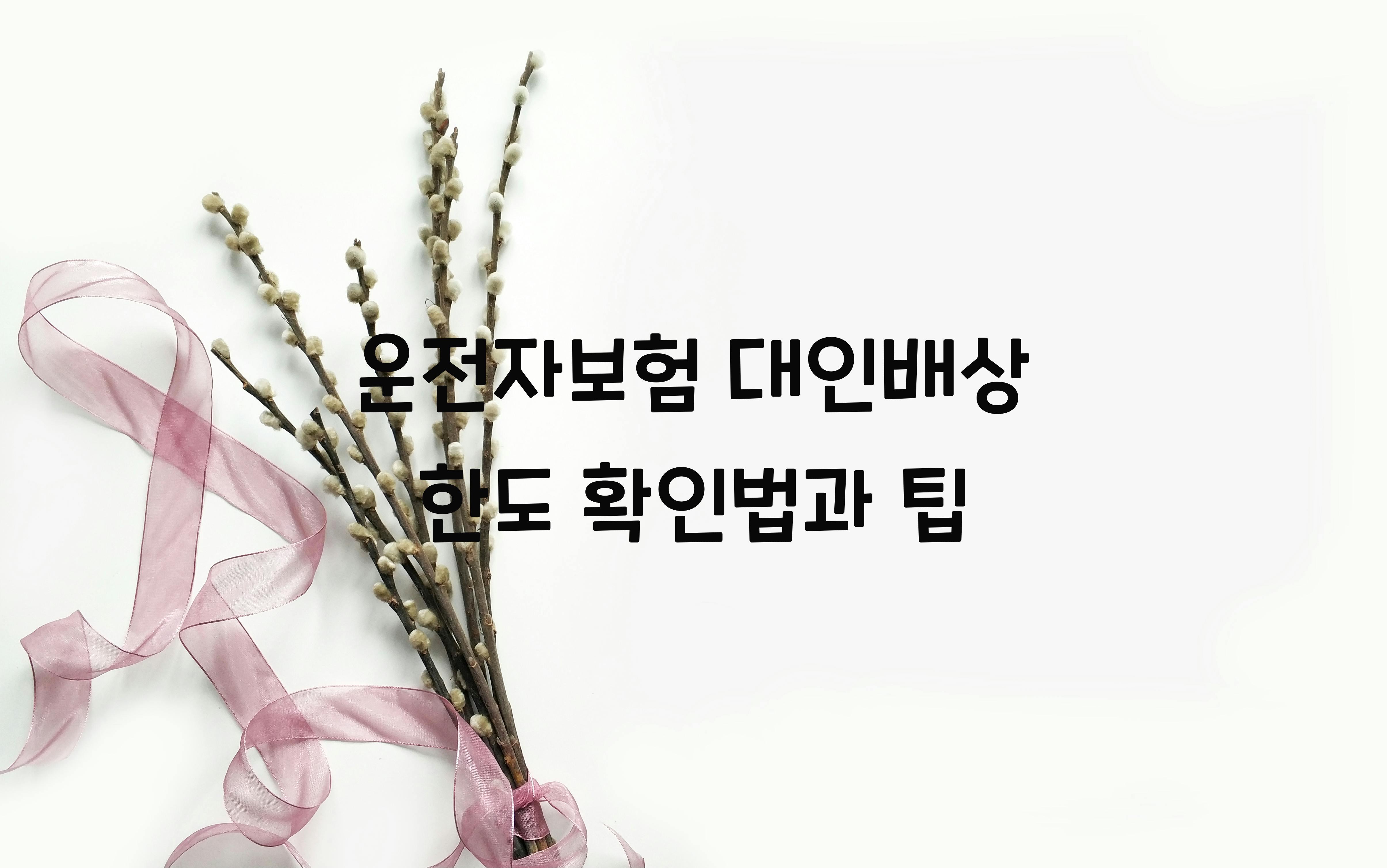 운전자보험 대인배상 한도