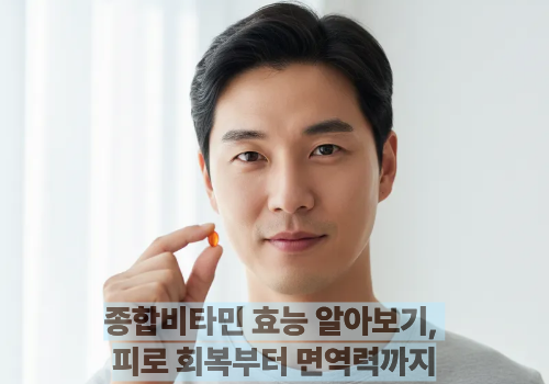 종합비타민 효능 알아보기, 피로 회복부터 면역력까지