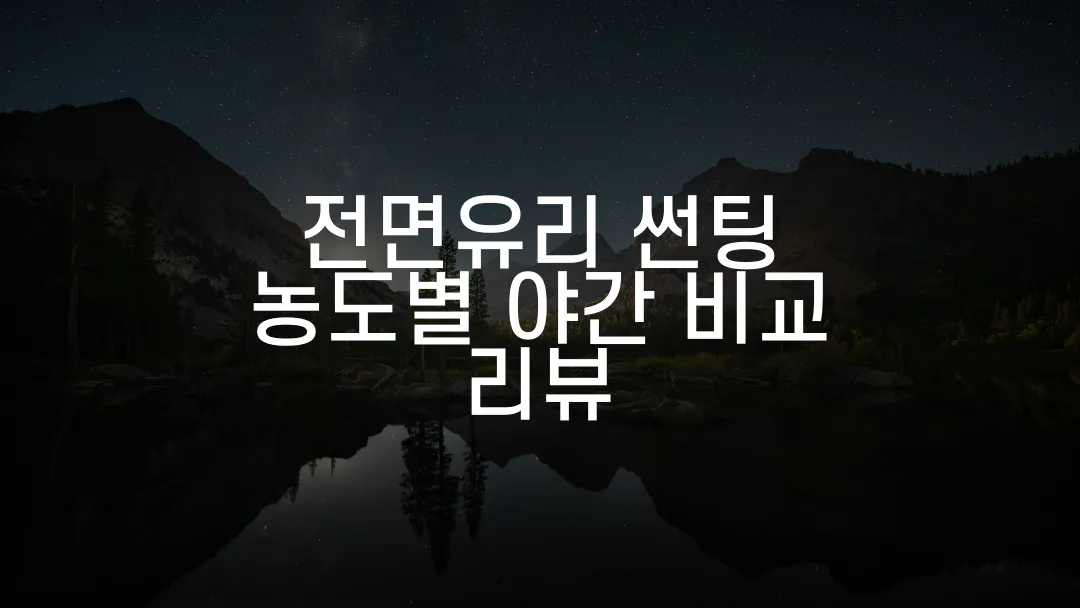 전면유리 썬팅 농도별 야간 비교 리뷰