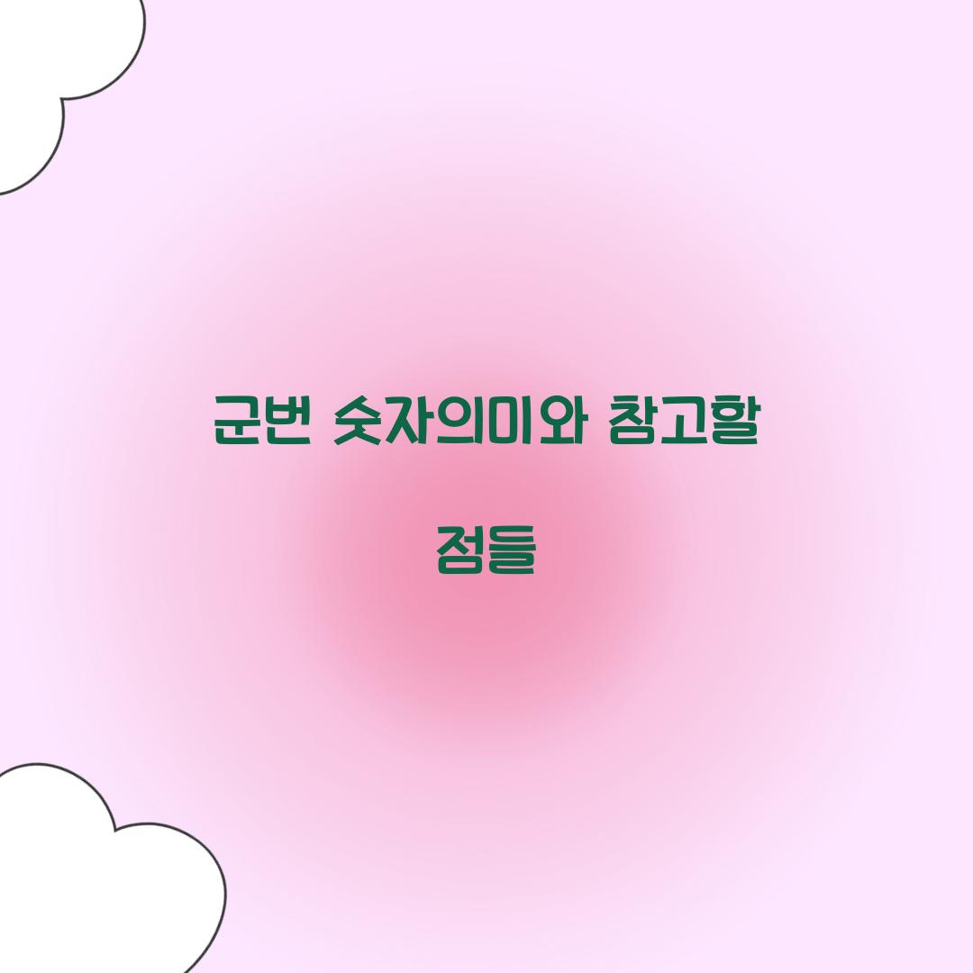 군번 숫자의미