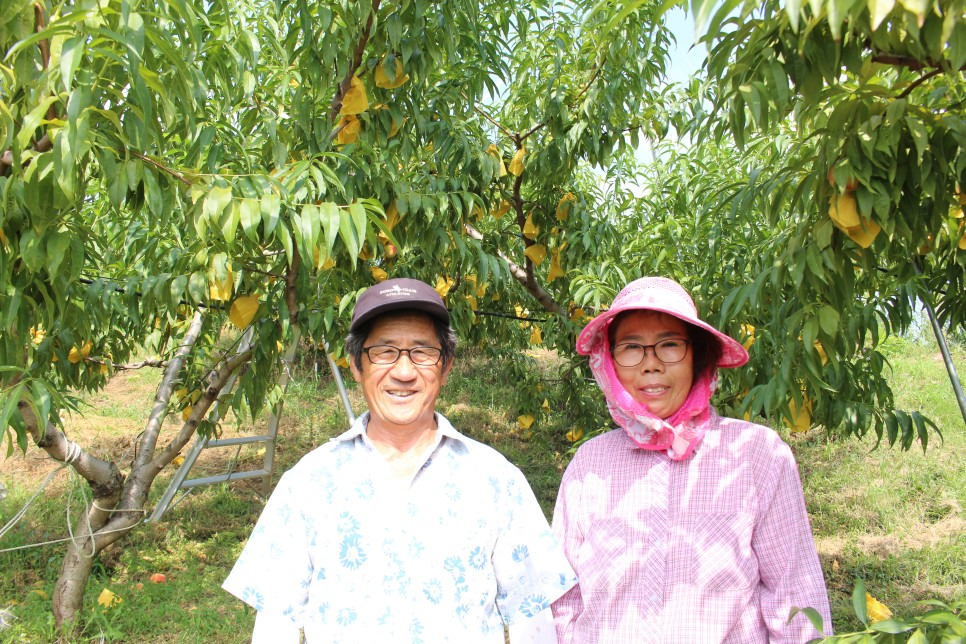 2025 음성명작페스티벌&amp;#44; 명품 먹거리축제