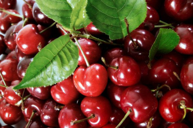 타트체리 부작용 효능