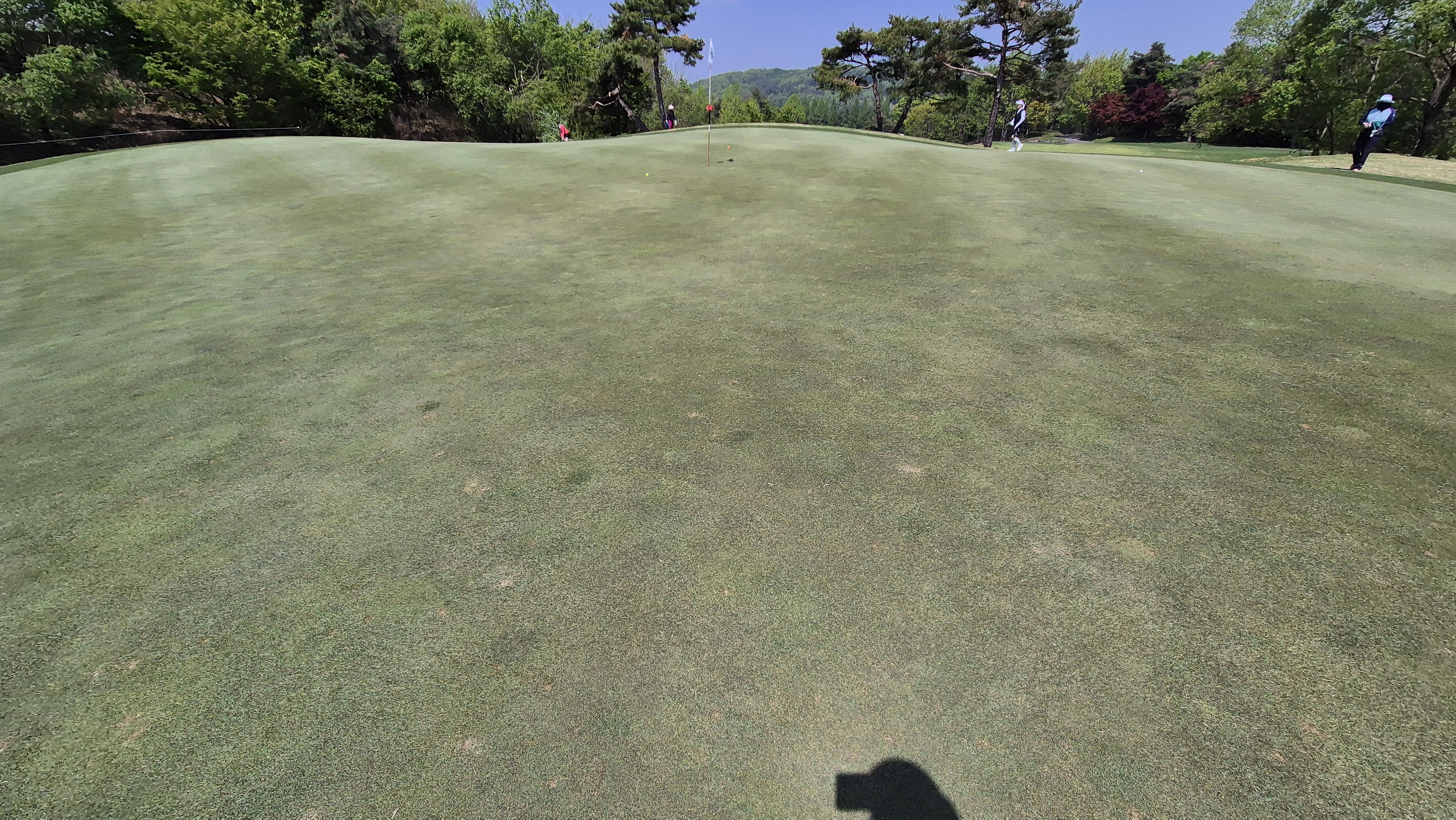 마에스트로cc 라운드 후기