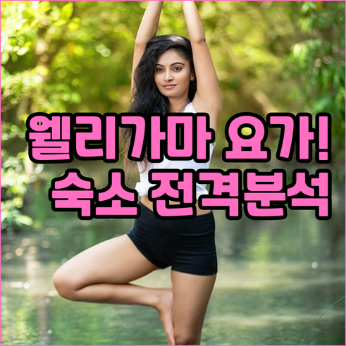 웰리가마 원데이 요가 클래스 예약 방..