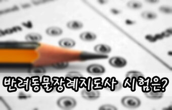 반려동물 장례지도사 자격증