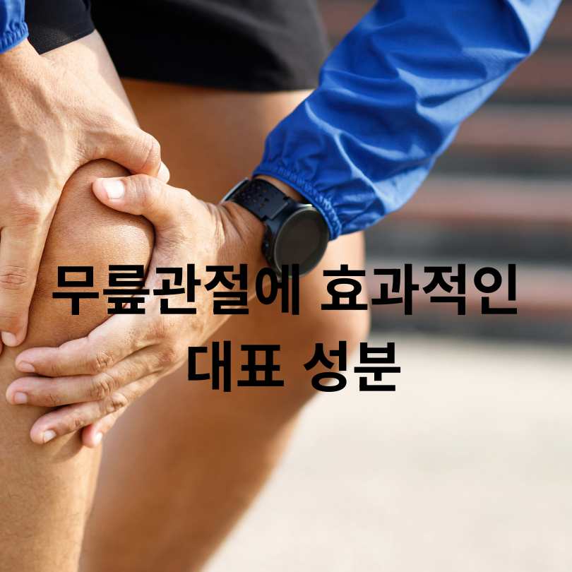 무릎관절에 좋은 영양제 TOP5