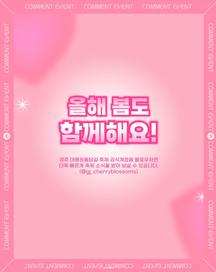 경주 벚꽃 축제