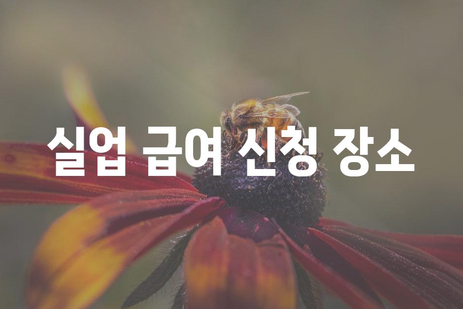 API 할당량 초과 오류 8