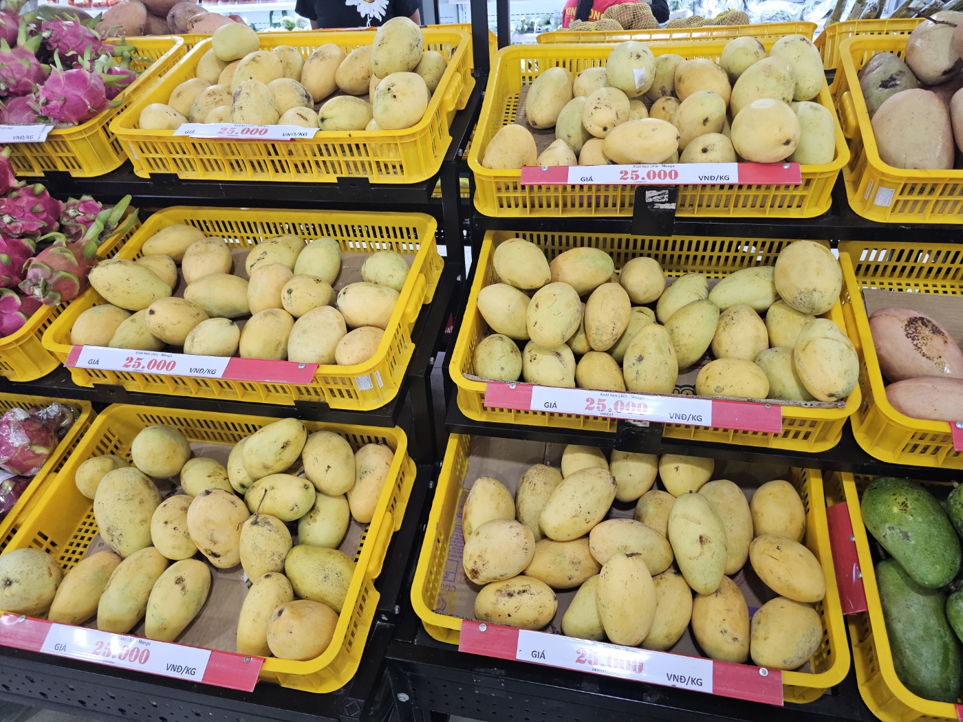 [25.3월] 푸꾸옥 #6&amp;#124;킹콩마트 방문 후기 &ndash; 기념품부터 장바구니까지 꽉 채운 쇼핑 타임