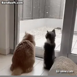 img.webp?credential=yqXZFxpELC7KVnFOS48ylbz2pIh7yKj8&expires=1767193199&allow_ip=&allow_referer=&signature=ePbNQ%2BaGfs8bDOHxszB2ZuLqQQw%3D