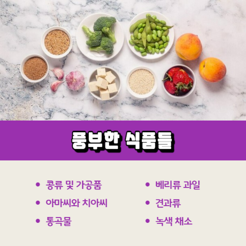 식물성 에스트로겐 식품