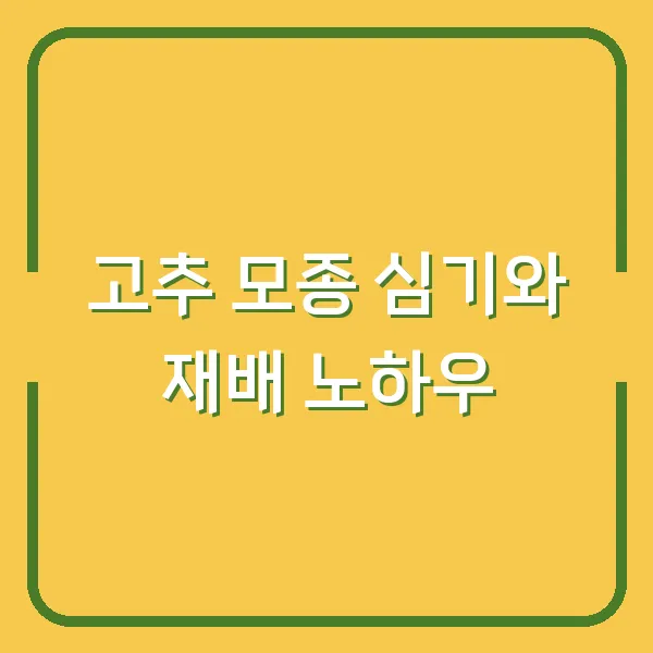 고추 모종 심기와 재배 노하우