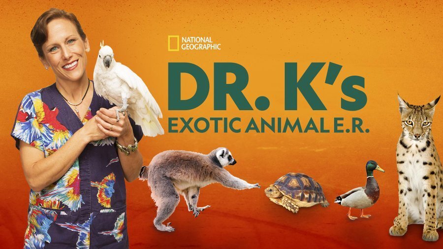 닥터K의 동물 응급실(Dr. K’s Exotic Animal ER)