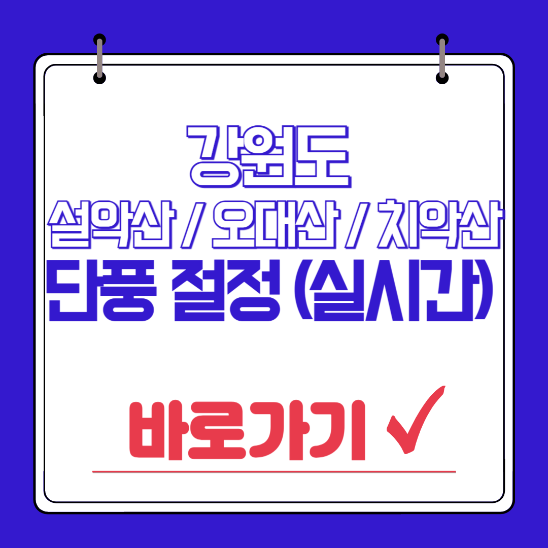 강원도 설악산, 오대산, 치악산 단풍 절정