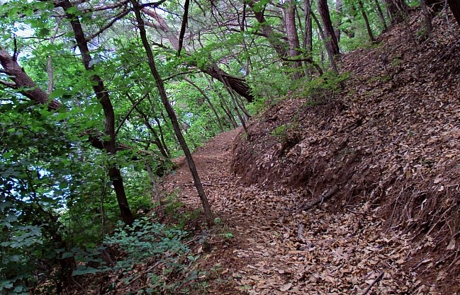 파로호 수달길 오솔길