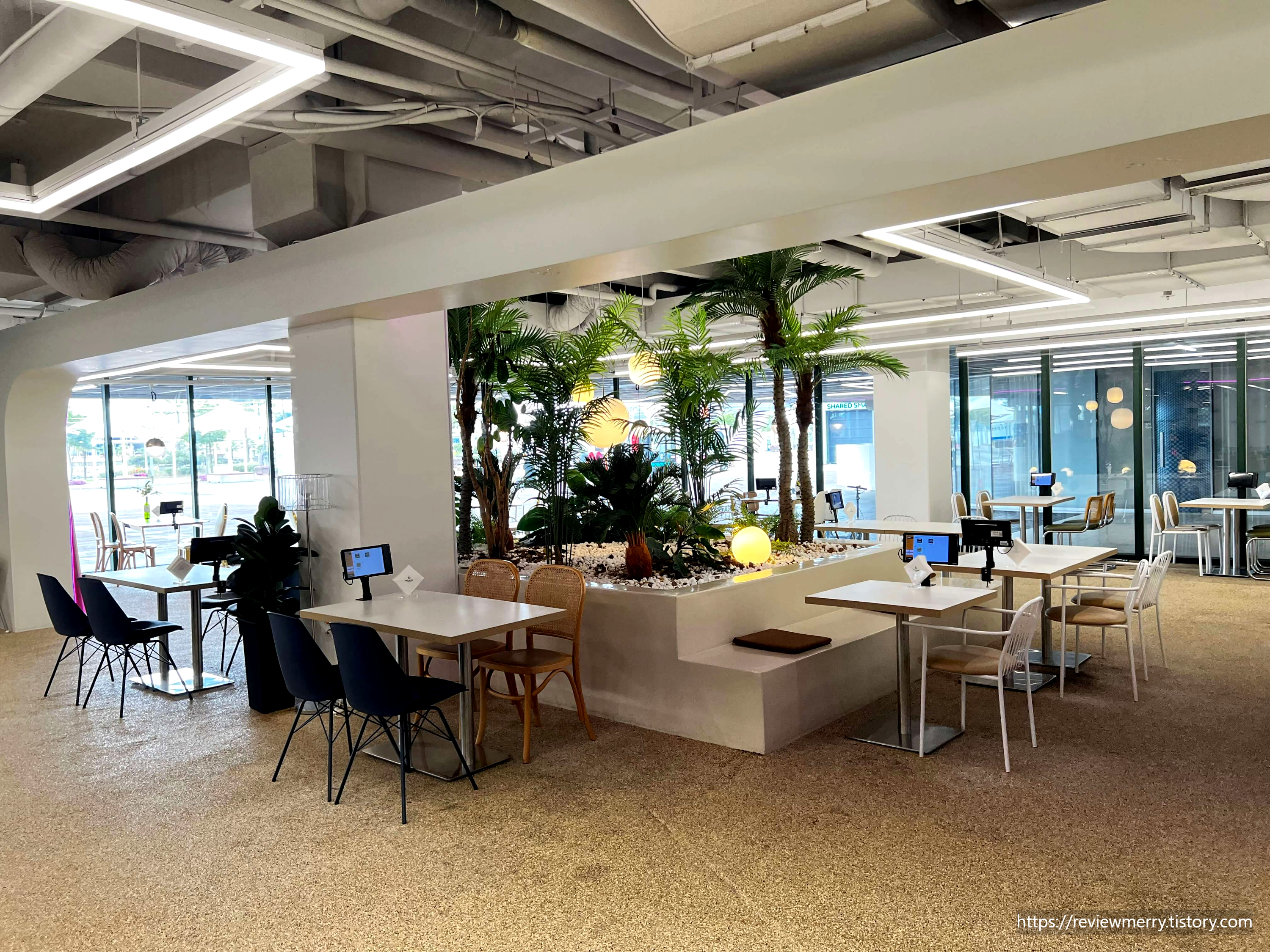 내부 식물 인테리어