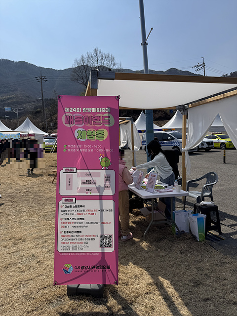 광양 매화축제 개화상황 실시간 사진 입장료