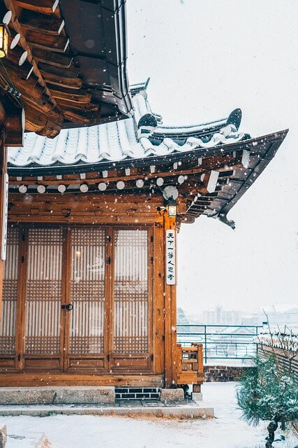 오미자의 효능과 오미자청 만드는법&amp;#44; 맛있게 먹는법 정리