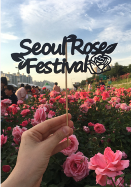 서울 장미축제 일정