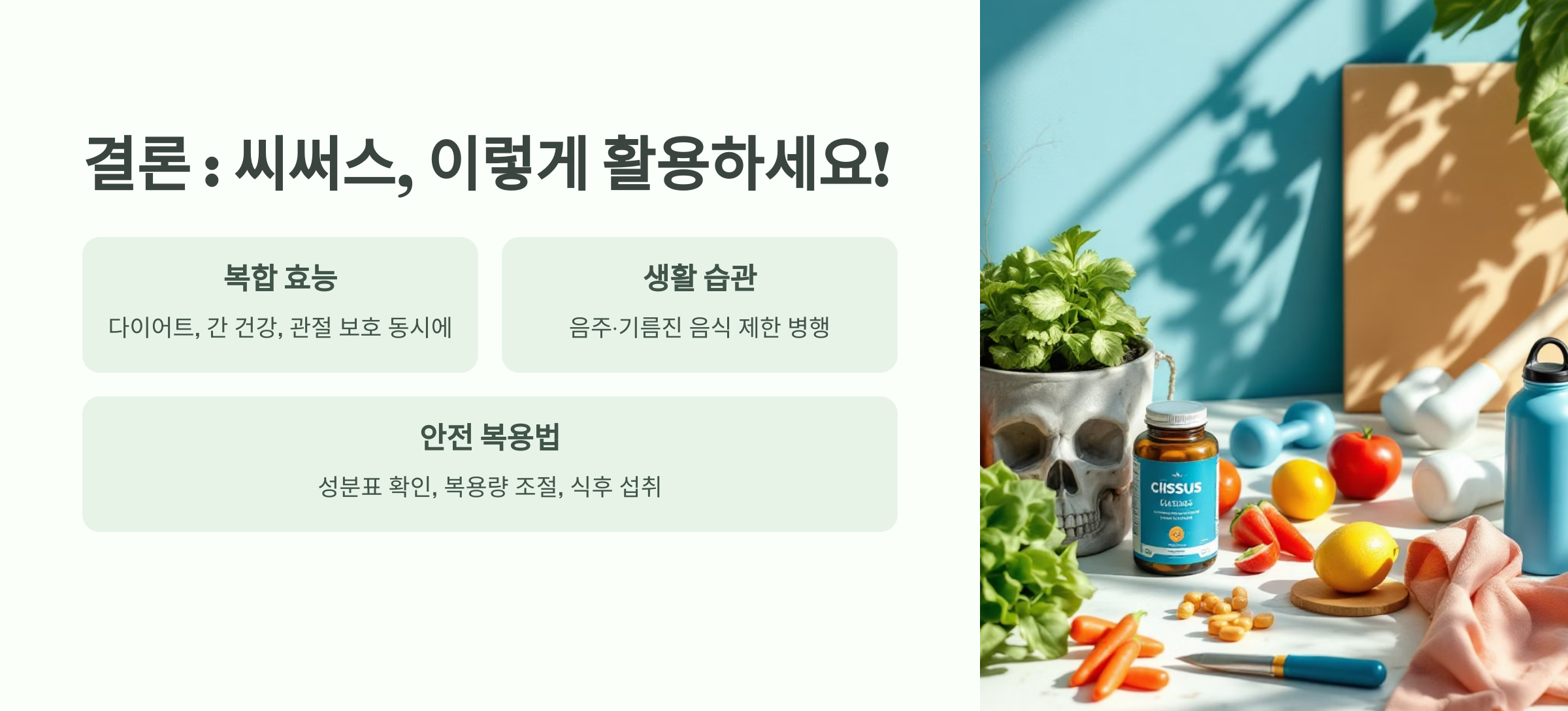 씨써스의 활용도를 설명한 이미지