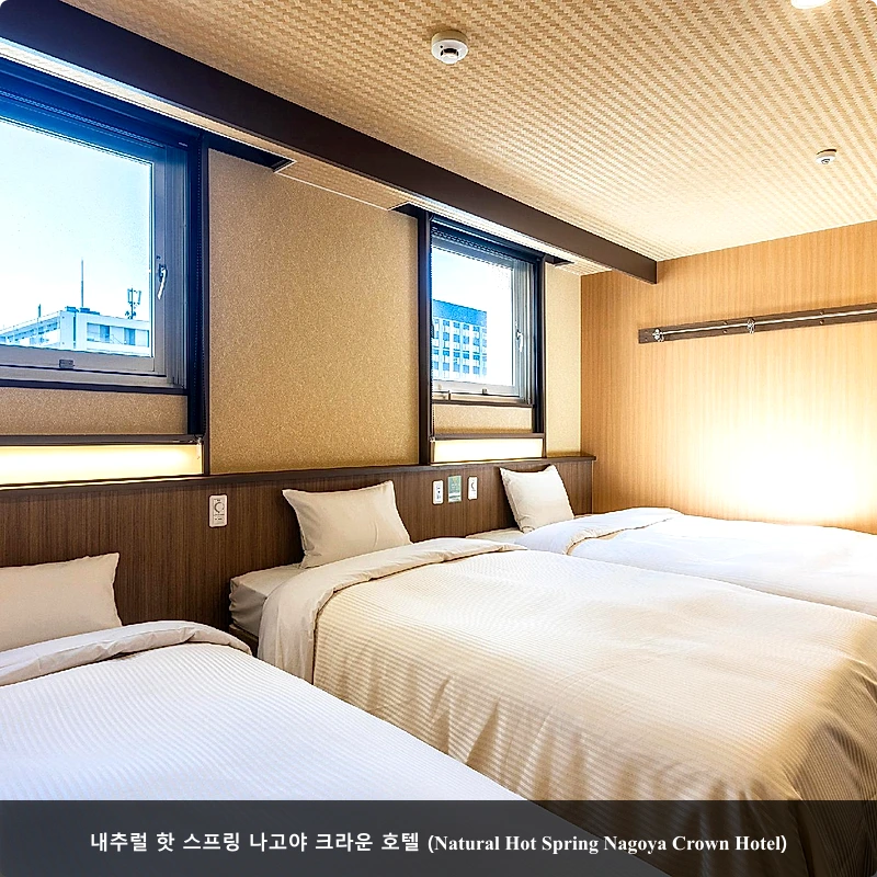 내추럴 핫 스프링 나고야 크라운 호텔 (Natural Hot Spring Nagoya Crown Hotel)_2