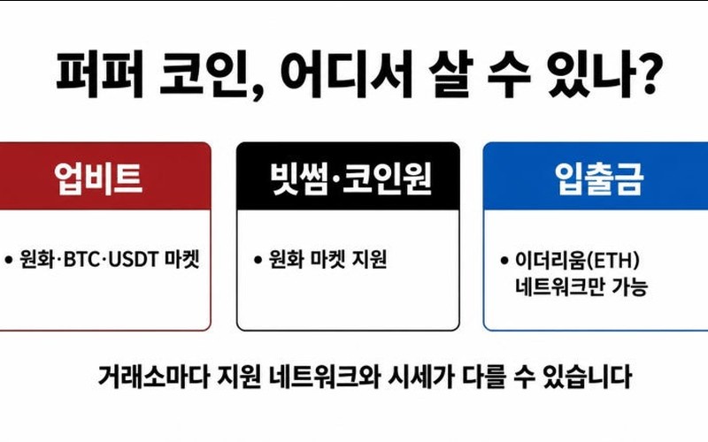 퍼퍼 코인 완전 정리｜업비트 원화 상장 이유와 토큰 구조&middot;리스크 분석 -