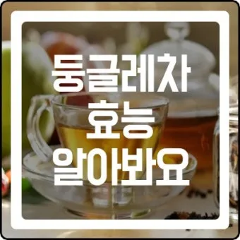 둥글레차 효과 건강에 좋은 차 효능 정리_22