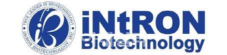 인트론바이오_로고