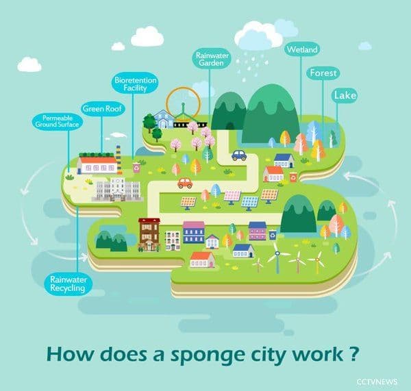 도시엔 비가 흘러가지 않는다? 물순환 단절의 충격적인 결과