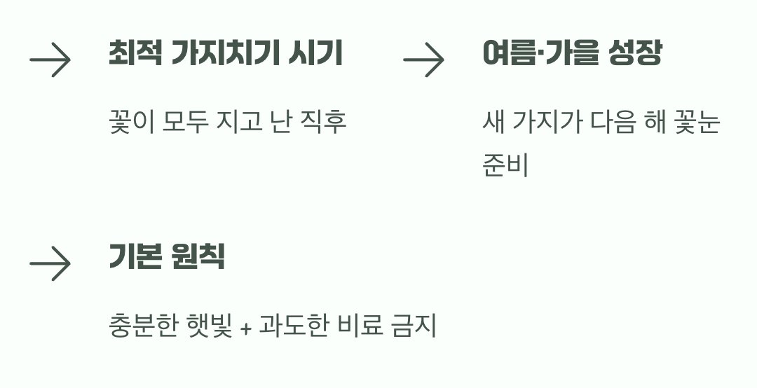 그래서, 노란 폭포를 위한 최고의 처방전은?