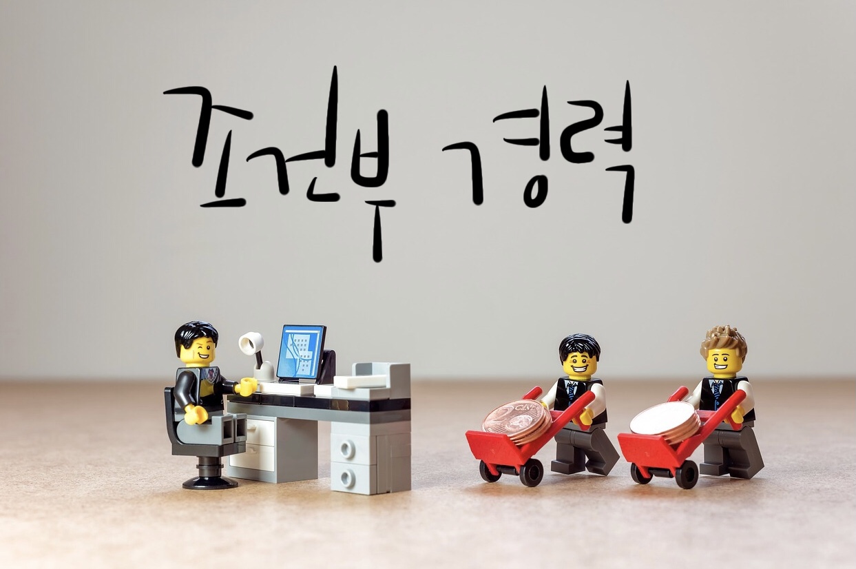 조건부경력_썸네일