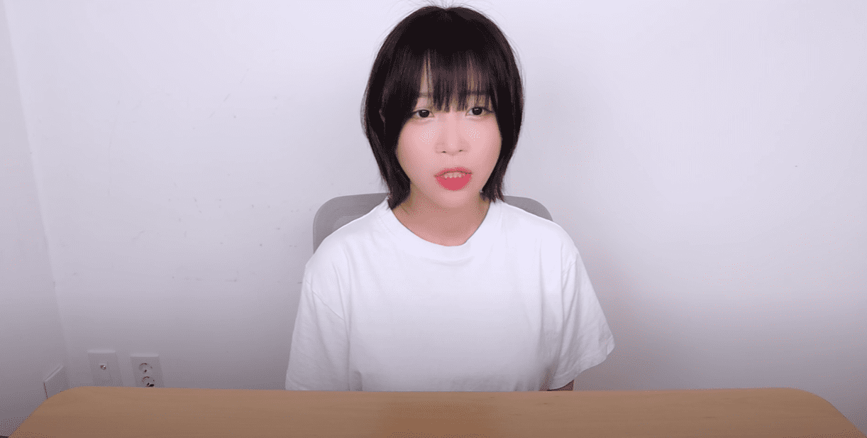 쯔양 임신중절 명의도용 해명