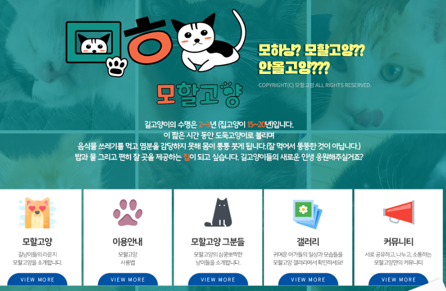 모할고양-블로그
