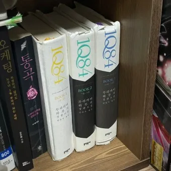 무라카미 하루키 소설의 특징과 문체 분석_3