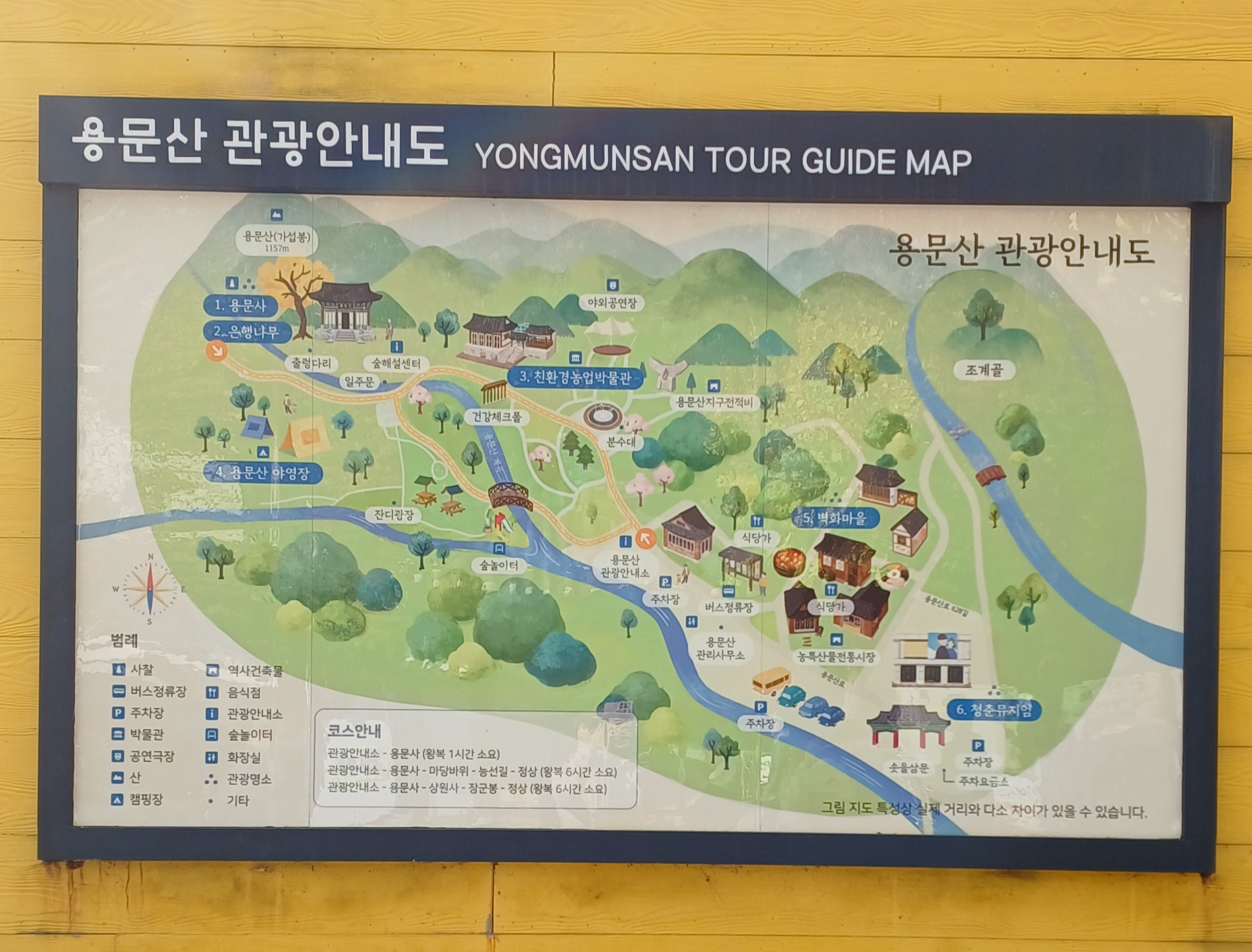 용문산-은행나무-20