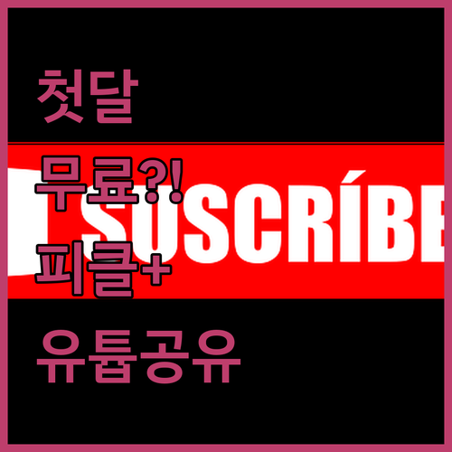 피클플러스 첫달 무료 코드로 유튜브 ..