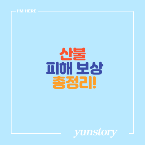 산불 피해 보상 총정리