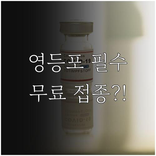 2025년 영등포구 취약계층 인플루엔..