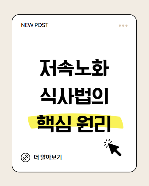 저속노화 식사법의 핵심 원리